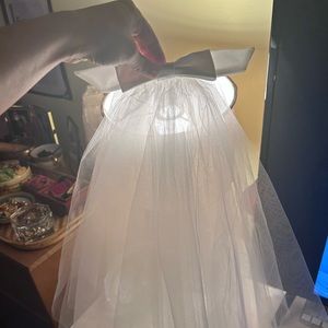 Ariana Grande esque veil - never worn